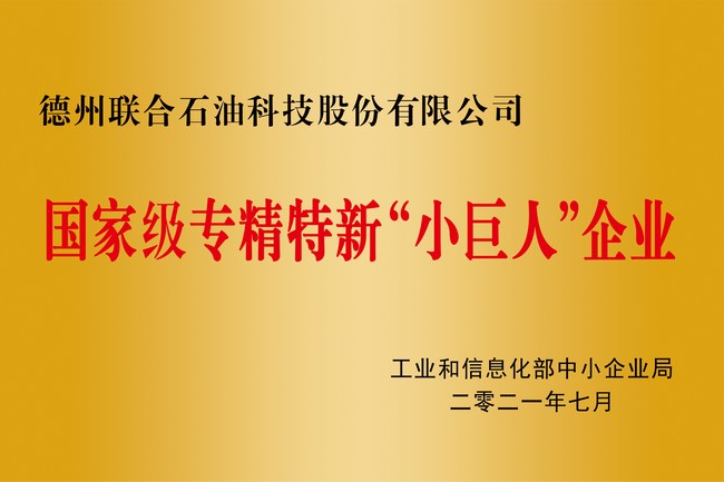 國家級(jí)專精特新小巨人企業(yè)